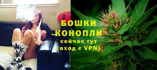 mix Богородицк