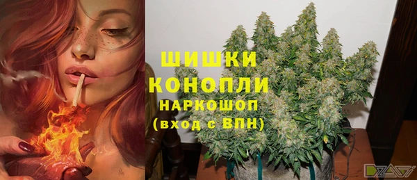 mix Богородицк
