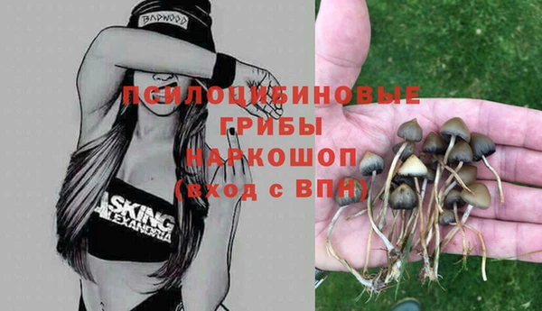 ешки Богданович