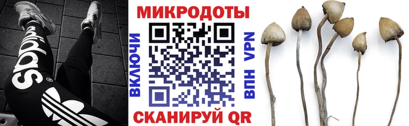 Купить закладки  Вилюйск  Галлюциногенные грибы GOLDEN TEACHER 
